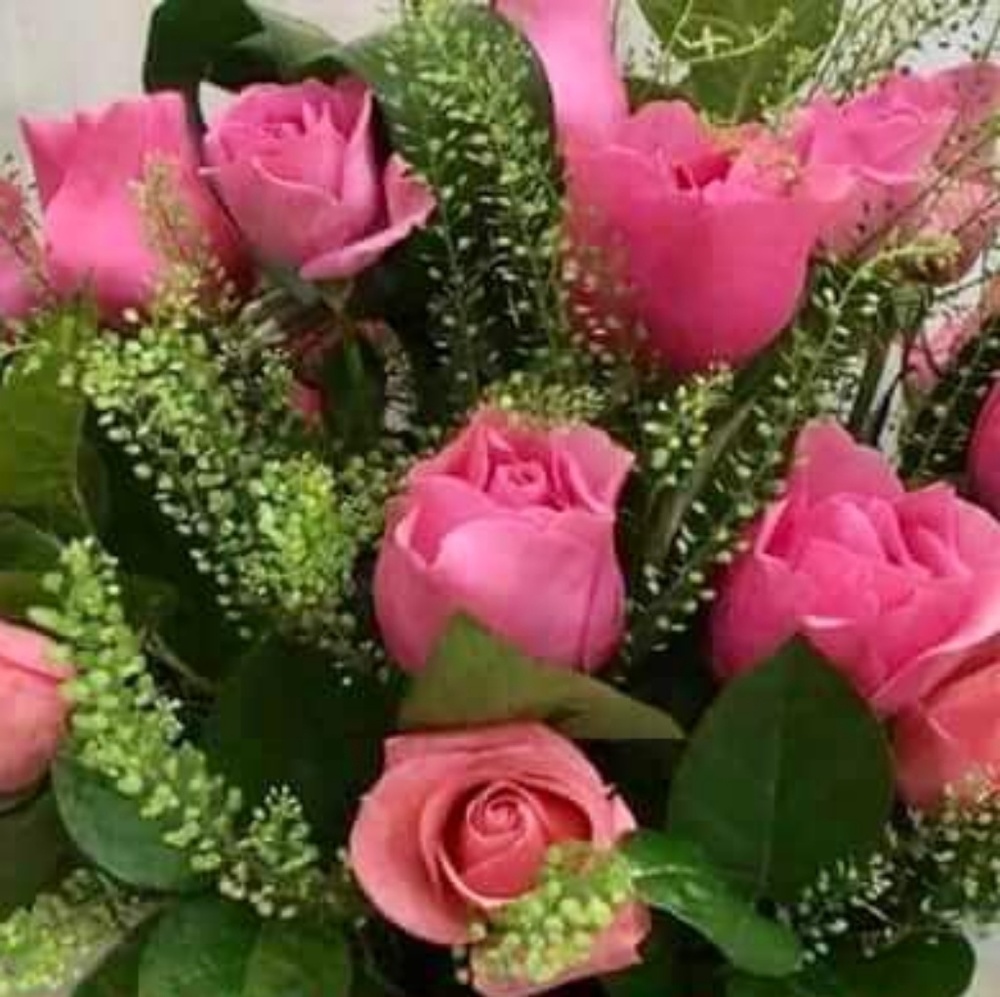 Meet your Posher, Liesel